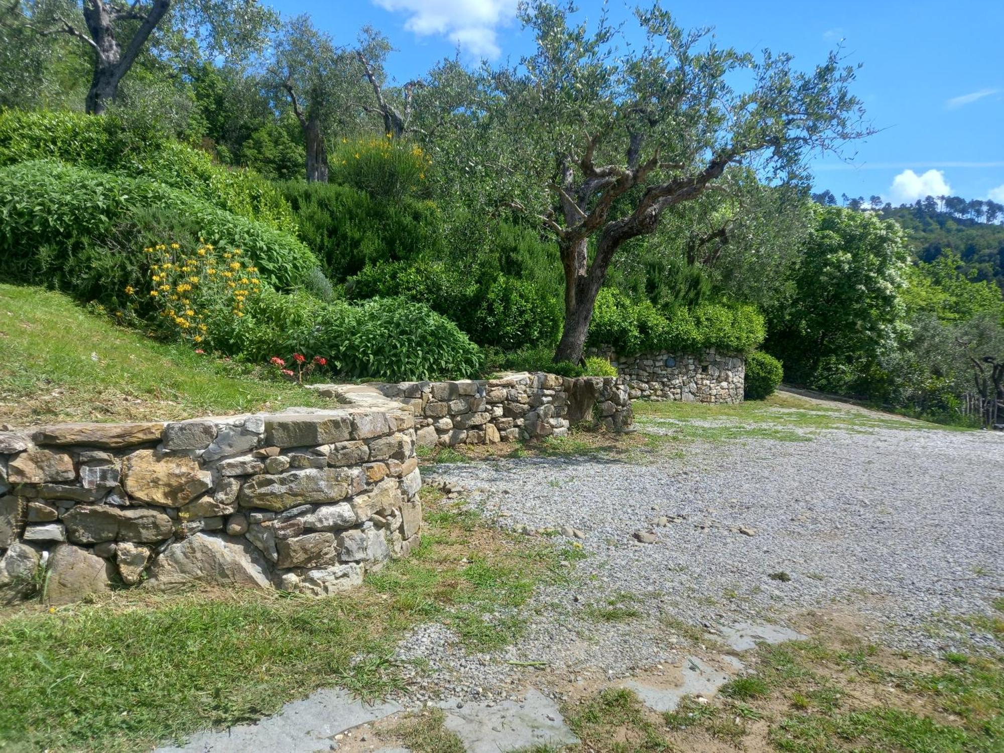 Il Colle Della Brina Hotel Sarzana Buitenkant foto